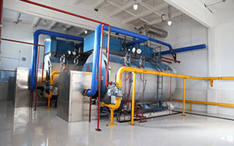 Maldives Gas Industry Steam Boiler Factory